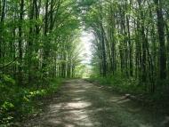 Маціорськ з panoramio.com