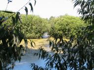 Дубовий Гай з panoramio.com