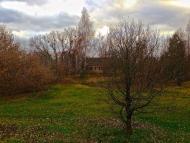 Дитятки з panoramio.com