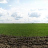 Войтове з panoramio.com
