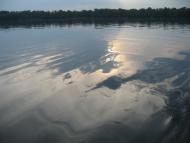 Розумівка з panoramio.com