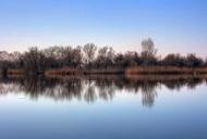 Олександрівка з panoramio.com