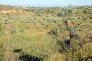 Приозерне з panoramio.com