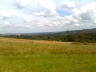 Новоселиця з panoramio.com