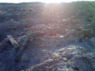 Вільшанка з panoramio.com