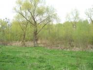 Хижня з panoramio.com