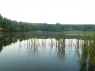 Пасат з panoramio.com