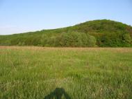 Куземин з panoramio.com