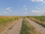 Бирюки з panoramio.com