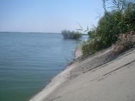 Рисове з panoramio.com