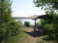 Петрово-Солониха з panoramio.com