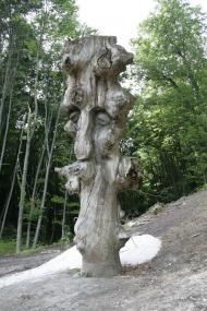 Лісники з panoramio.com