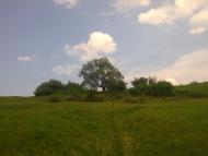 Вигода з panoramio.com