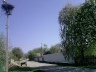 Ставище з panoramio.com