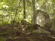 Лісники з panoramio.com