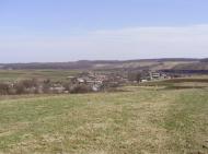 Лопушна з panoramio.com