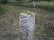 Отрадово - Последние фото