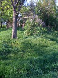 Новоархангельськ з panoramio.com