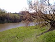 Соколівка з panoramio.com