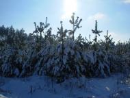 Пролетарське з panoramio.com