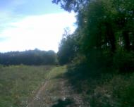 Сухоліси з panoramio.com