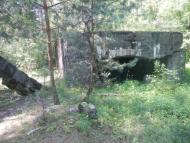 Дубняки з panoramio.com