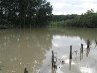 Тарасівці з panoramio.com