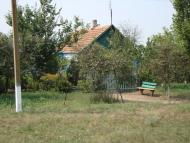 Весняна Квітка з panoramio.com