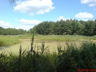 Ретик - Останні фото