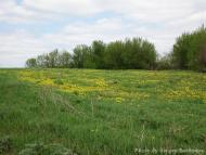 Жовтневе з panoramio.com