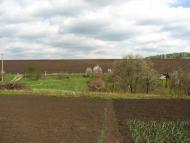 Шестакове з panoramio.com