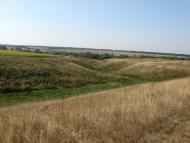 Мирошниківка з panoramio.com