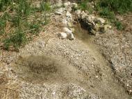 Петрово-Солониха з panoramio.com