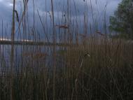 Гребені з panoramio.com