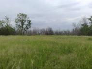 Катеринівка з panoramio.com
