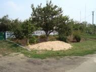 Весняна Квітка з panoramio.com