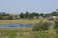 Рідкодуби з panoramio.com