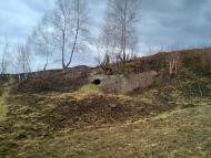 Вигода - Останні фото