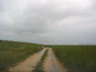 Дмитрівка з panoramio.com