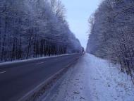 Лісопіль з panoramio.com