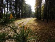 Шаболтасівка - Останні фото