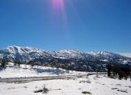 Ясень з panoramio.com