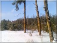 Кушкине з panoramio.com