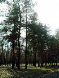 Лисичанський з panoramio.com