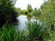 Ялцівка з panoramio.com