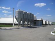 Козачий Гай з panoramio.com