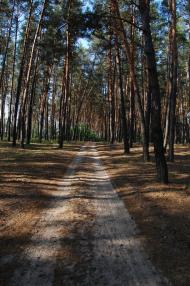 Пролетарське з panoramio.com