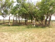 Новий Донбас з panoramio.com