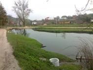 Лопушна з panoramio.com