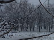 Талаківка з panoramio.com